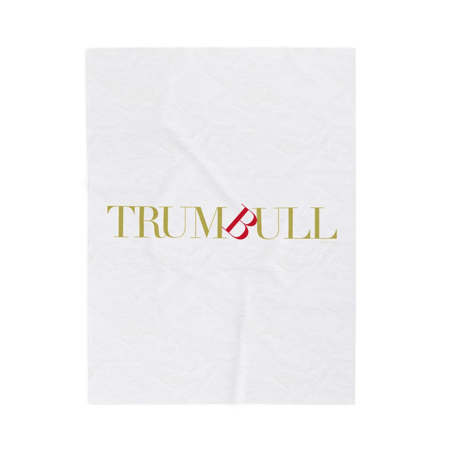 41 Tilt Trumbull Velveteen Plush Blanket