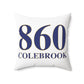 860 Colebrook Polyester Square Pillow