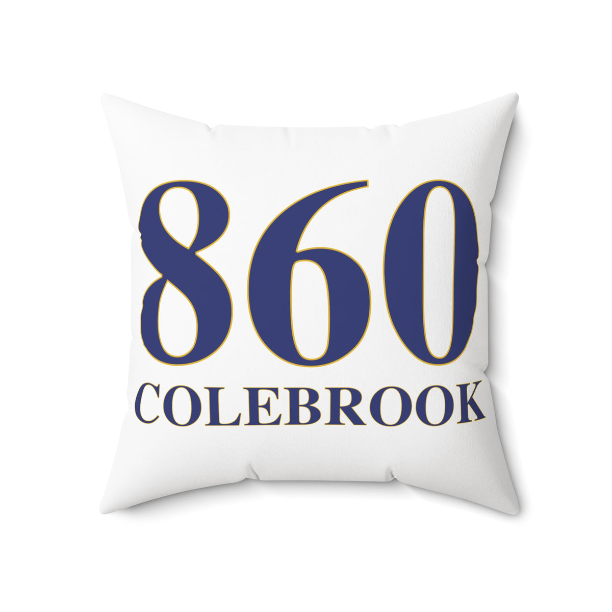 860 Colebrook Polyester Square Pillow