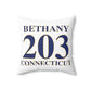 Bethany 203 Connecticut Polyester Square Pillow