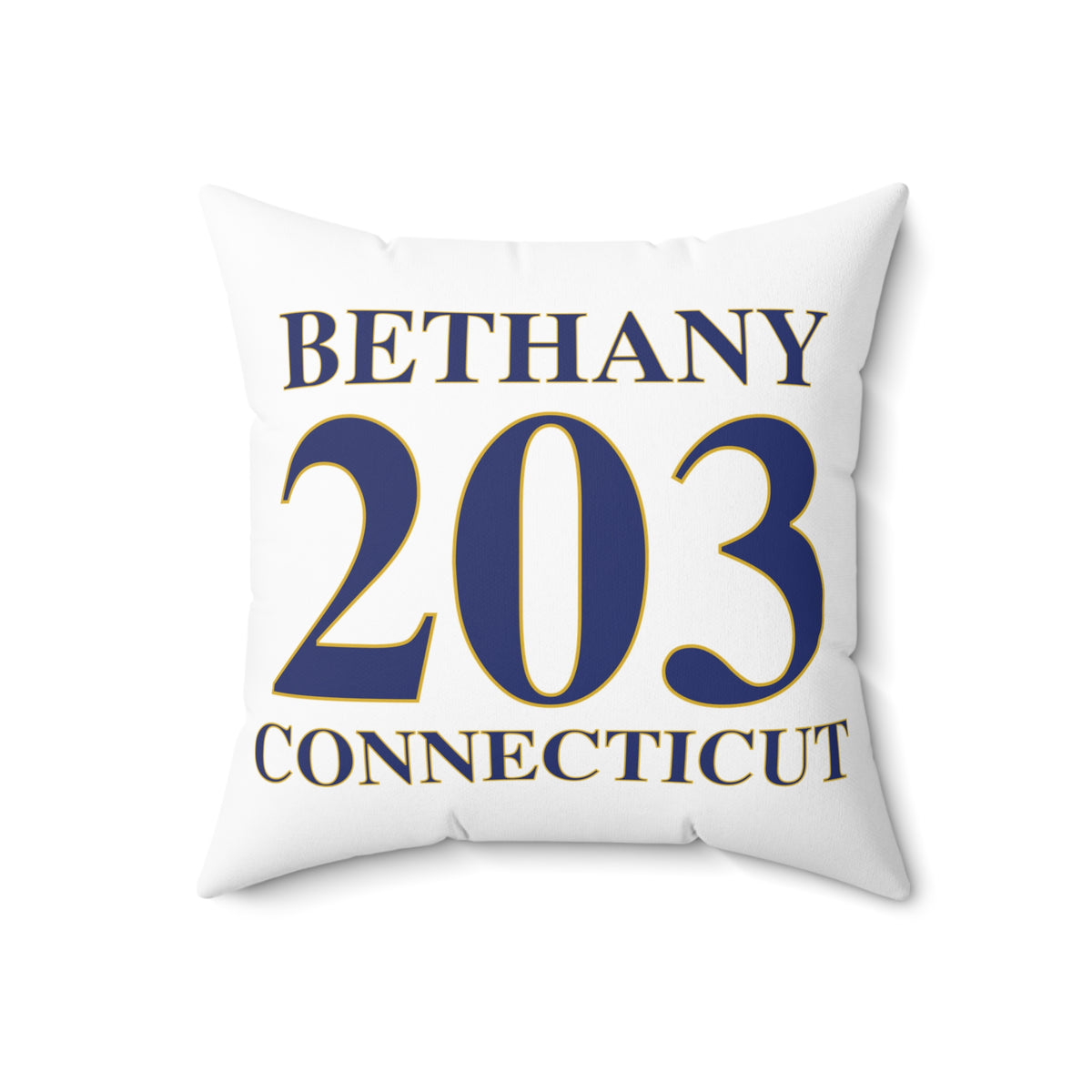 Bethany 203 Connecticut Polyester Square Pillow