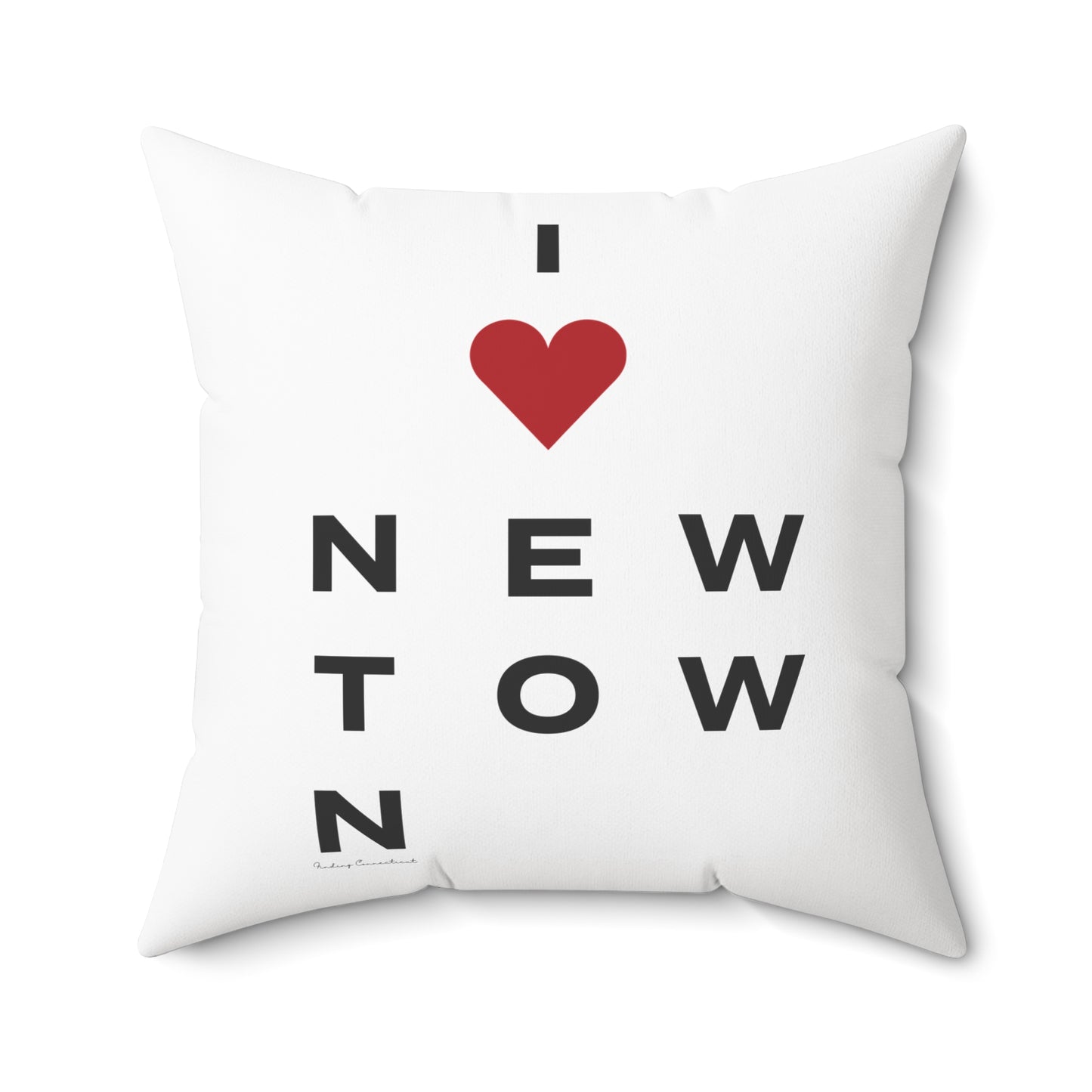 Newtown Vision Spun Polyester Square Pillow