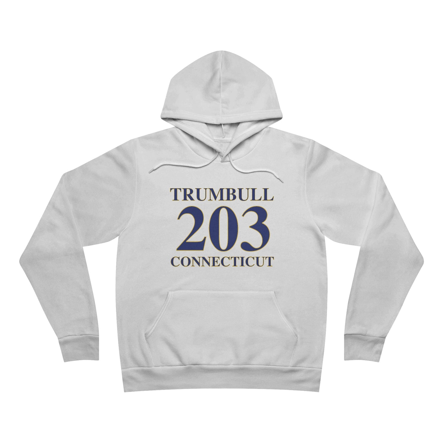 Trumbull 203 Connecticut Unisex Sponge Fleece Pullover Hoodie