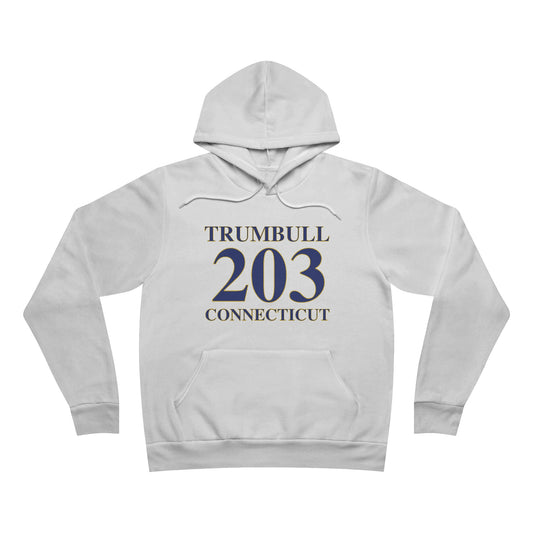 Trumbull 203 Connecticut Unisex Sponge Fleece Pullover Hoodie