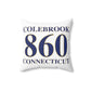 Colebrook 860 Connecticut Polyester Square Pillow