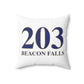 203 Beacon Falls Polyester Square Pillow