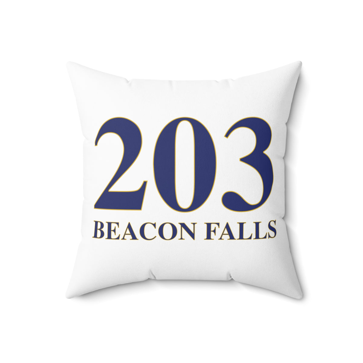 203 Beacon Falls Polyester Square Pillow