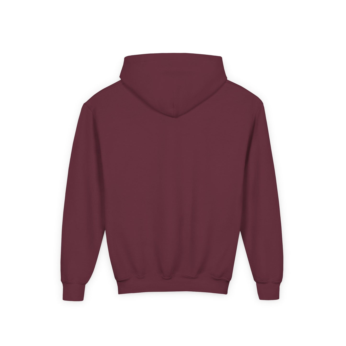 Just a kid from Stamford Youth Heavy Blend Hooded Sweatshirt