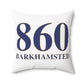 860 Barkhamsted Polyester Square Pillow
