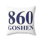 860 Goshen Polyester Square Pillow