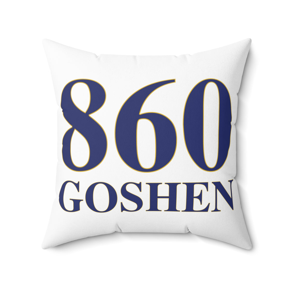 860 Goshen Polyester Square Pillow