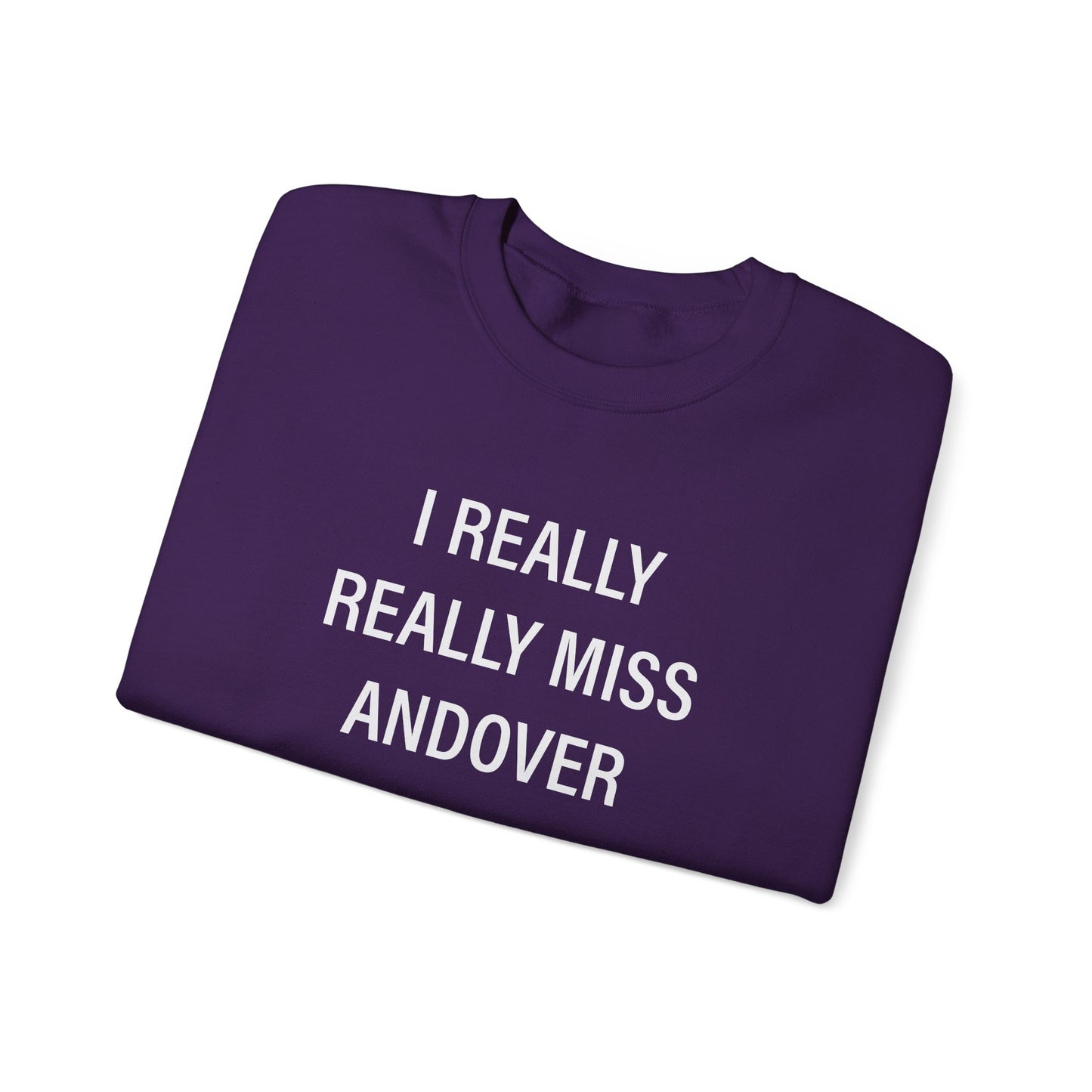 I Really Really Miss Andover Unisex Heavy Blend™ Crewneck Sweatshirt