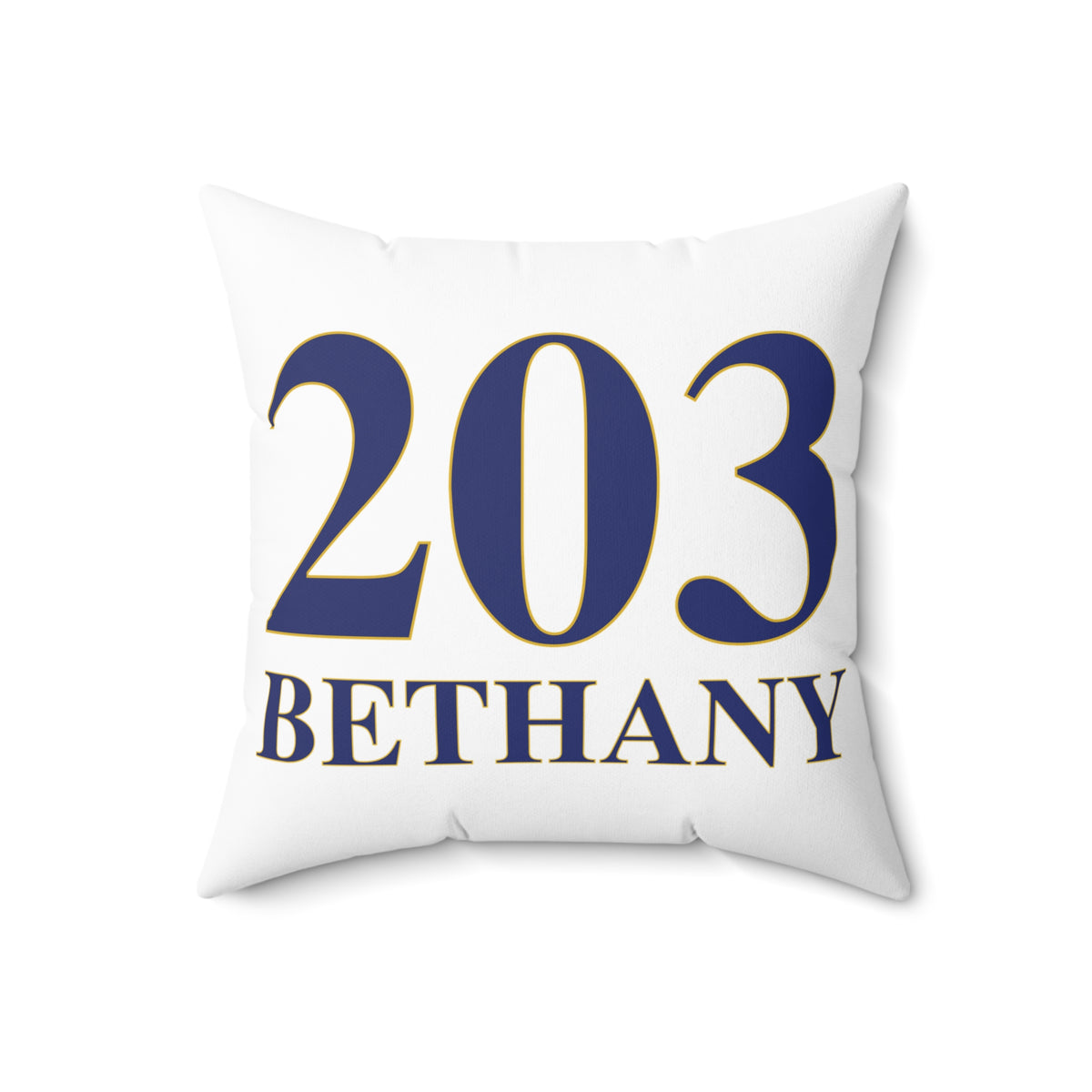 203 Bethany Polyester Square Pillow