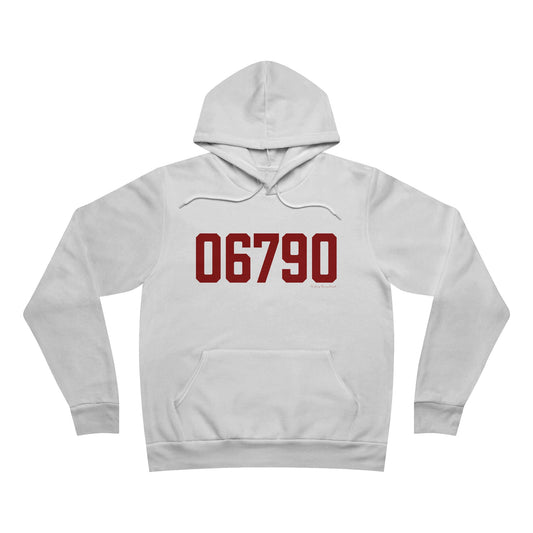 06790 Torrington Connecticut Zip Code Unisex Sponge Fleece Pullover Hoodie