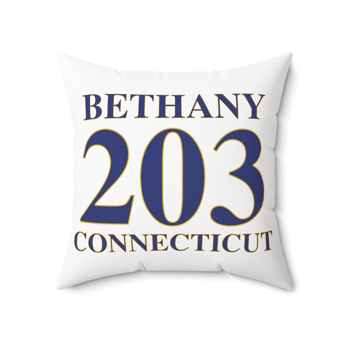 Bethany 203 Connecticut Polyester Square Pillow