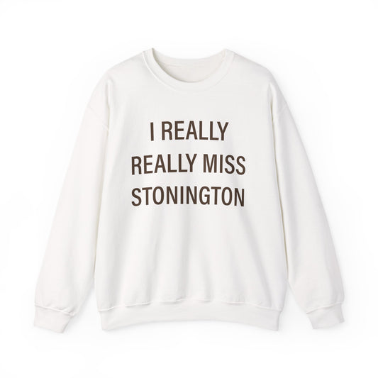I Really Really Miss Stonington Unisex Heavy Blend™ Crewneck Sweatshirt