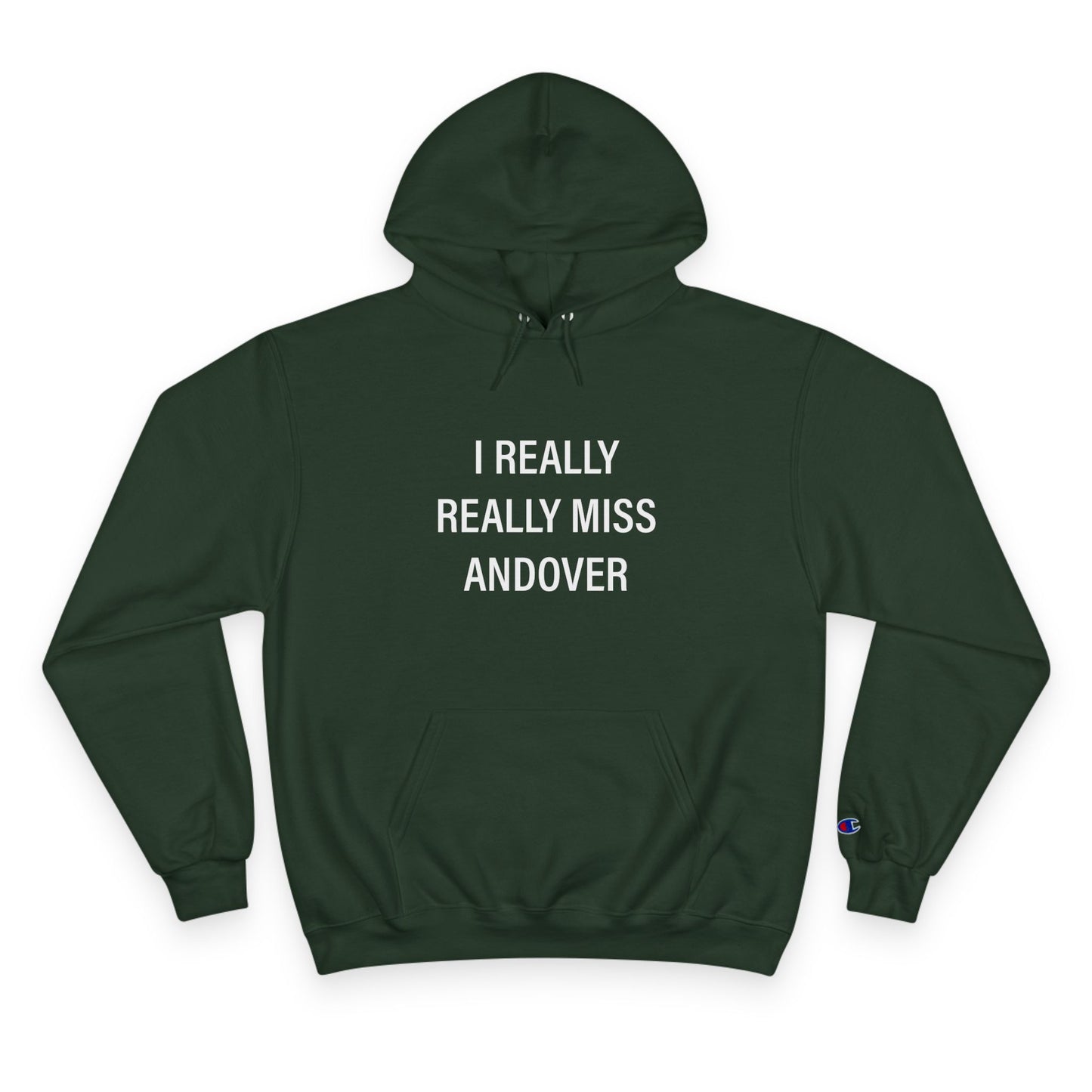 I Really Really Miss Andover Champion Hoodie