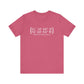 Branford Coordinates Unisex Jersey Short Sleeve Tee