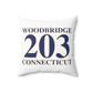 Woodbridge 203 Connecticut Polyester Square Pillow