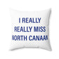 I Really Really Miss North Canaan Polyester Square Pillow
