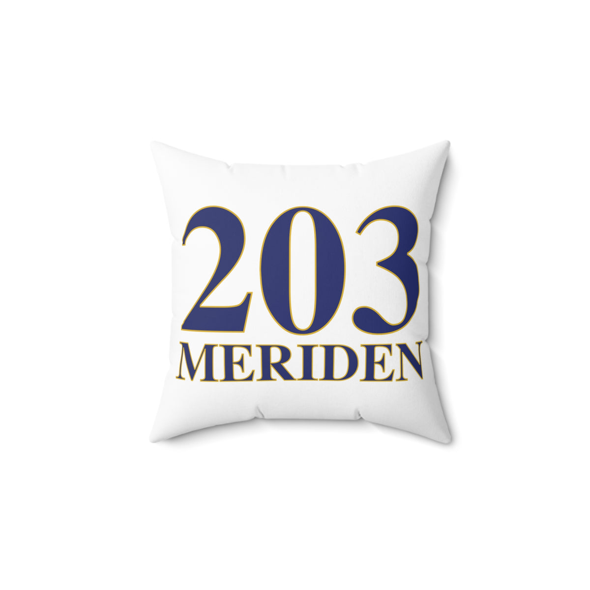 203 Meriden Polyester Square Pillow