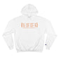 Bloomfield Coordinates // Bloomfield Connecticut unisex champion hoodie sweatshirts   // finding connecticut 
