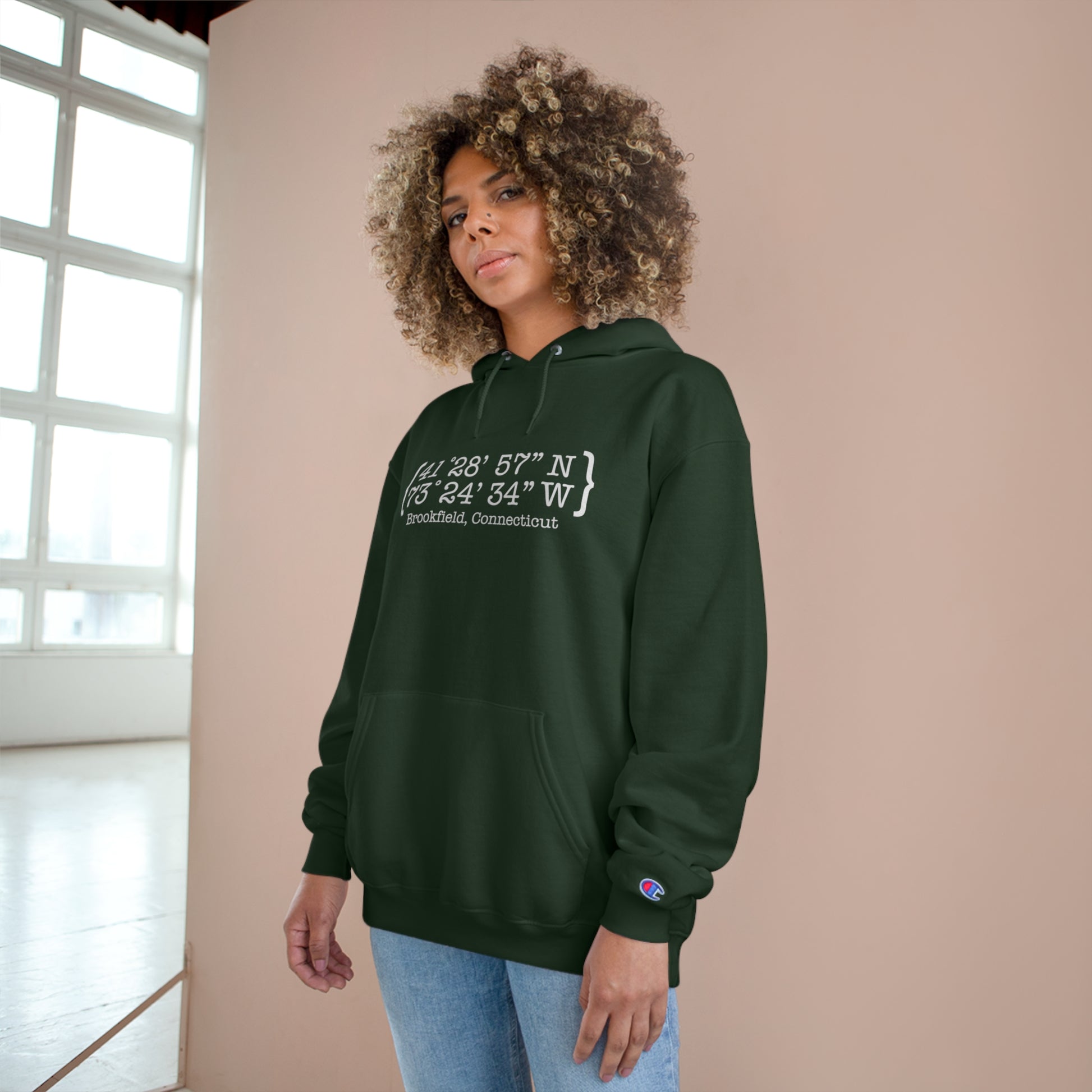 Brookfield Coordinates Champion Hoodie gray // brokfield connecticut  by fiinding connecticut