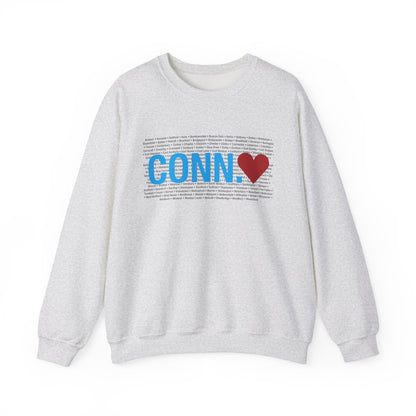 Connecticut sweatshirt // connecticut gifts and merch // finding connecticut 