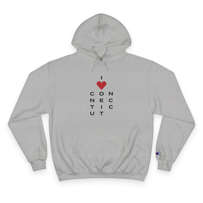 Connecticut unisex hoodie  sweatshirt // connecticut gifts and merch // finding connecticut 
