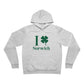 I Clover Norwich // Norwich Connecticut unisex hoodie sweatshirt    // finding connecticut 