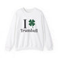 I Clover Trumbull // Trumbull ct st Patrick's day sweatshirt  /// finding Connecticut   