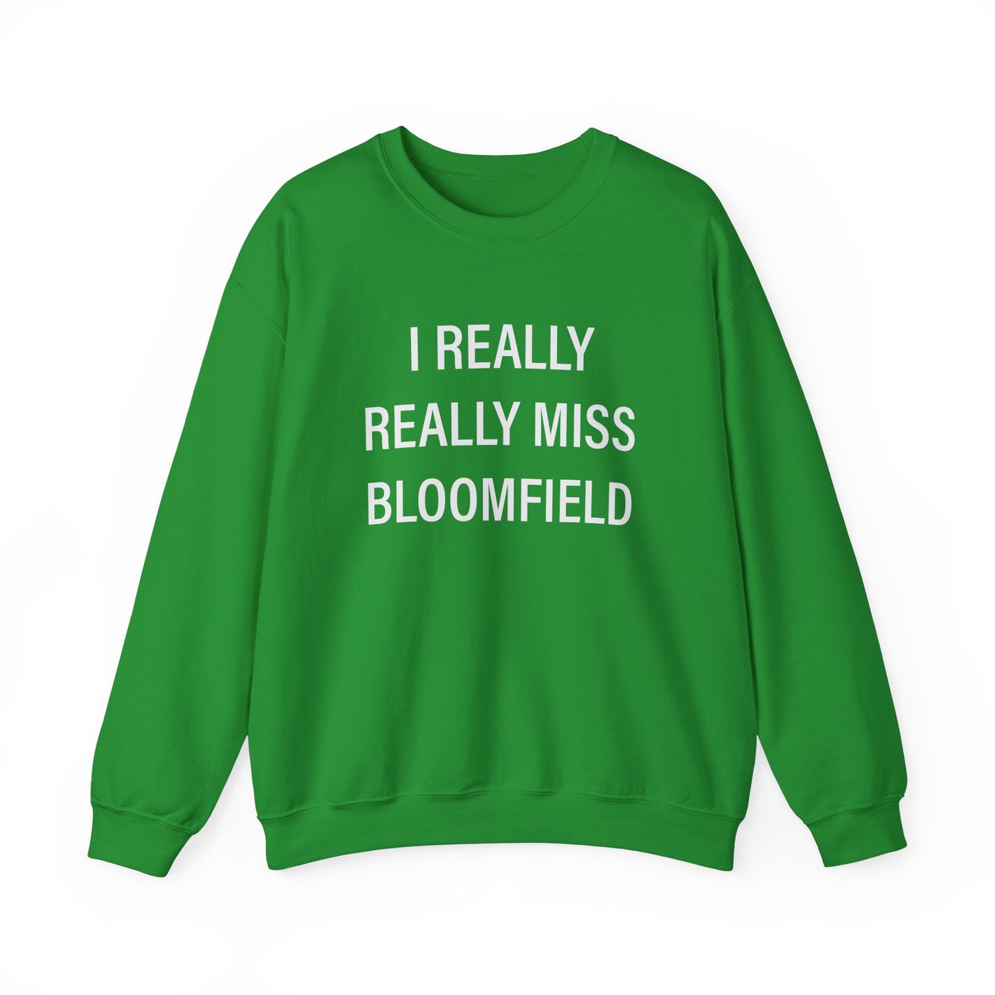 I Really Really Miss Bloomfield // Bloomfield CT sweatshirt // Finding Connecticut 