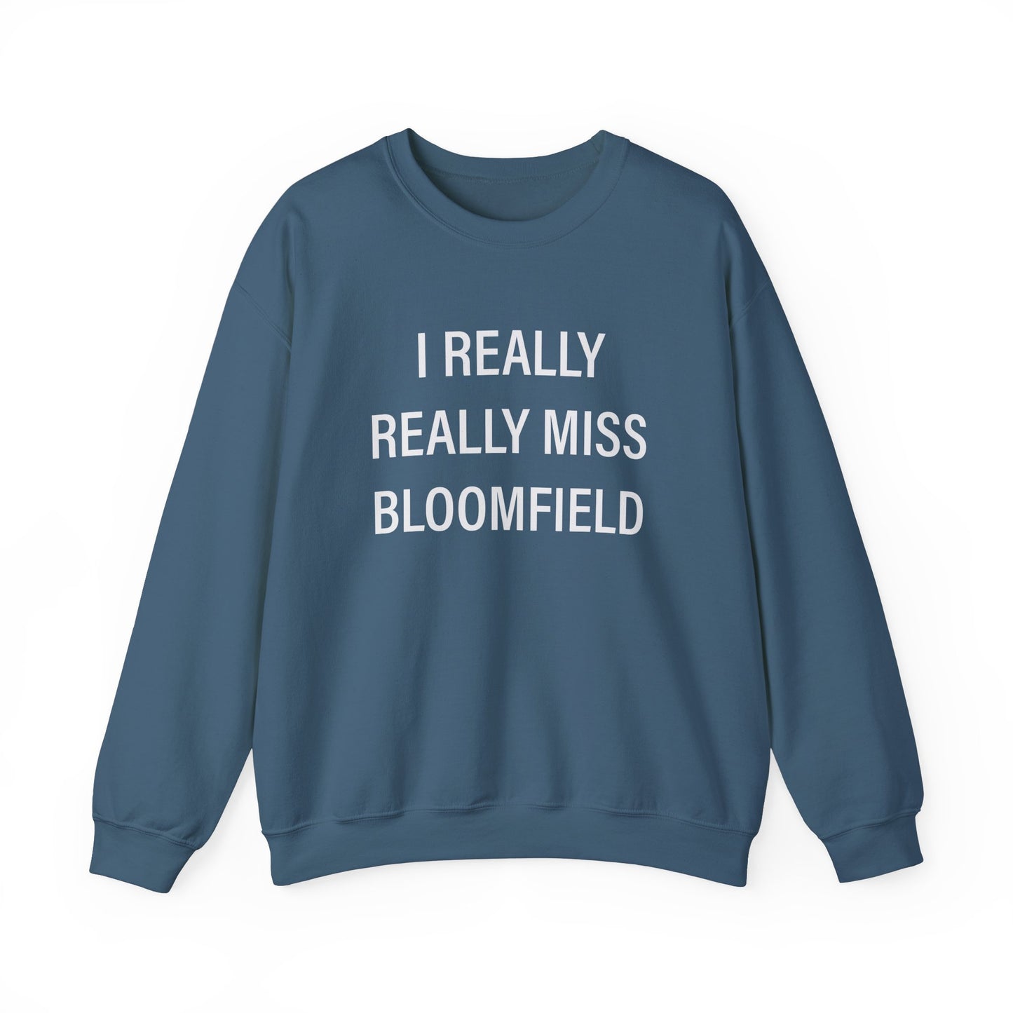 I Really Really Miss Bloomfield // Bloomfield CT sweatshirt // Finding Connecticut 