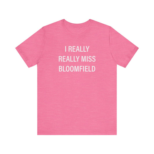 I Really Really Miss Bloomfield // Bloomfield CT unisex t shirts // Finding Connecticut 