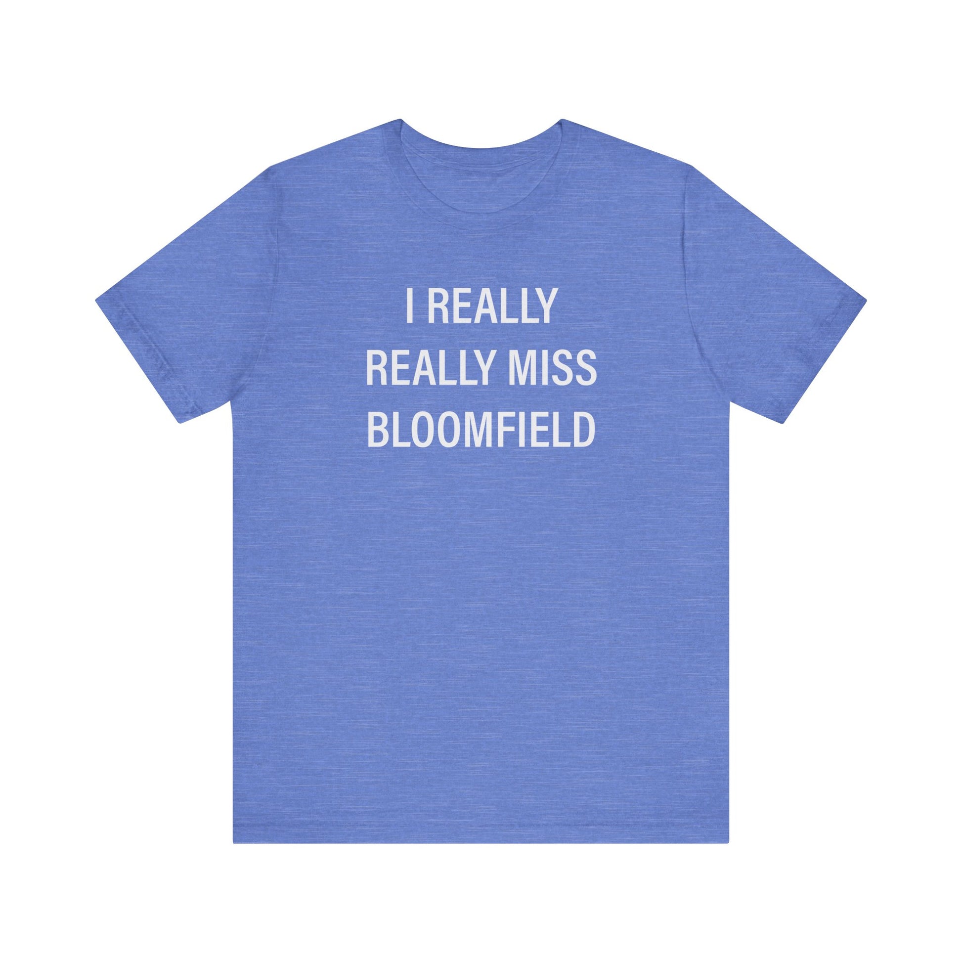 I Really Really Miss Bloomfield // Bloomfield CT unisex t shirts // Finding Connecticut 