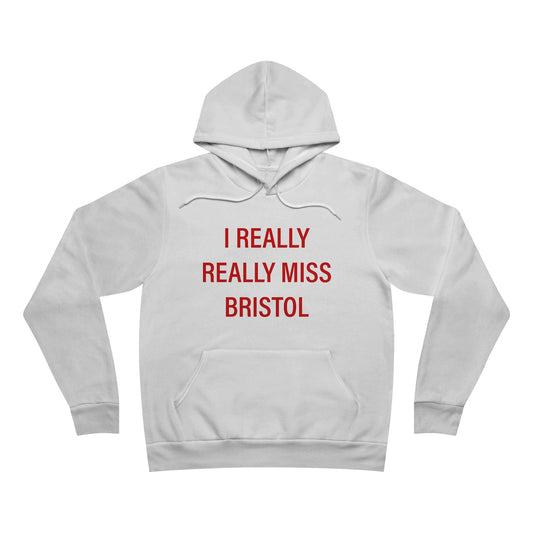 I Really Really Miss Bristol // Bristol Connecticut hoodie sweatshirt  // finding connecticut 