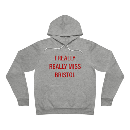 I Really Really Miss Bristol // Bristol Connecticut hoodie sweatshirt  // finding connecticut 