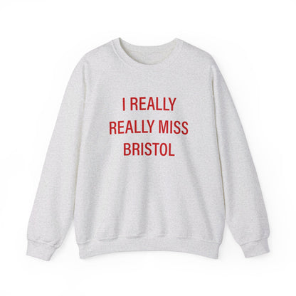 I Really Really Miss Bristol // Bristol Connecticut sweatshirt // finding connecticut 