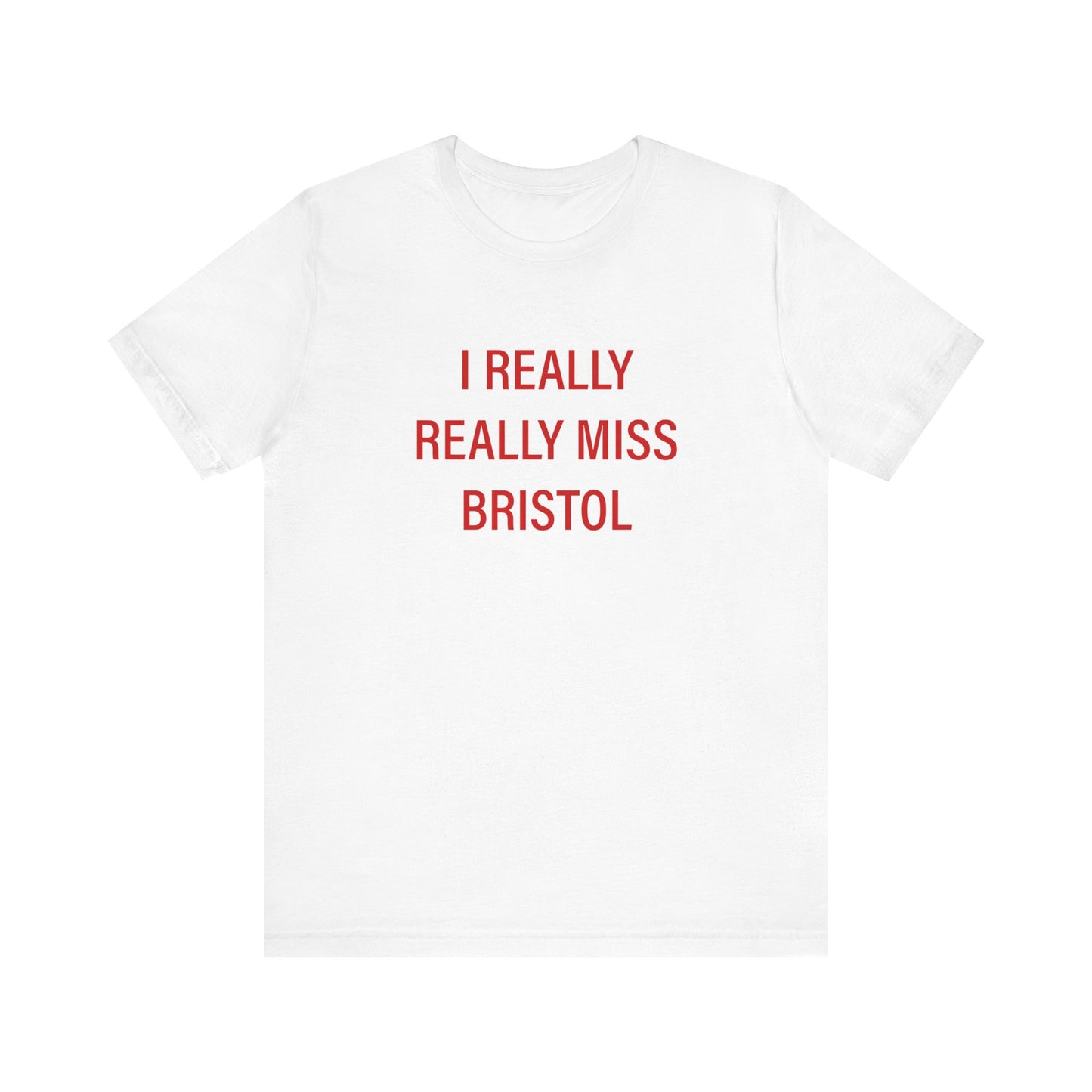 I Really Really Miss Bristol // Bristol Connecticut t shirt // finding connecticut 
