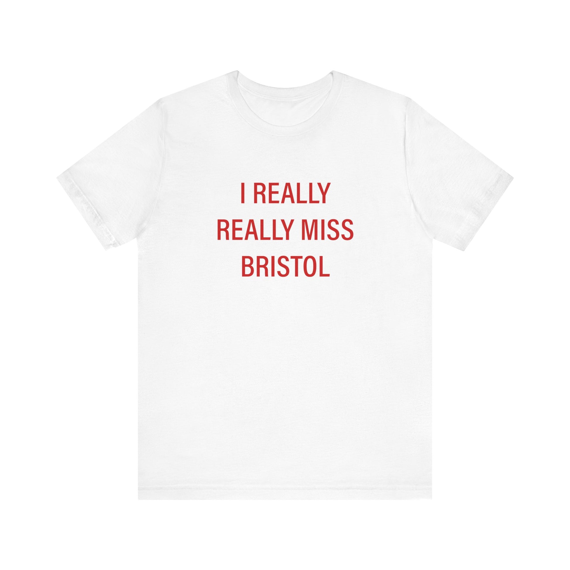 I Really Really Miss Bristol // Bristol Connecticut t shirt // finding connecticut 