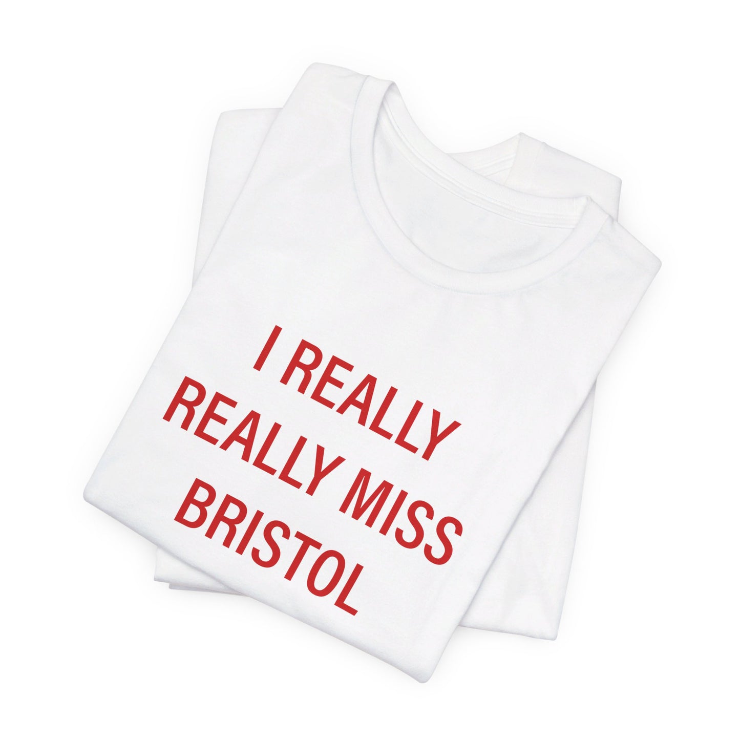 I Really Really Miss Bristol // Bristol Connecticut t shirt // finding connecticut 