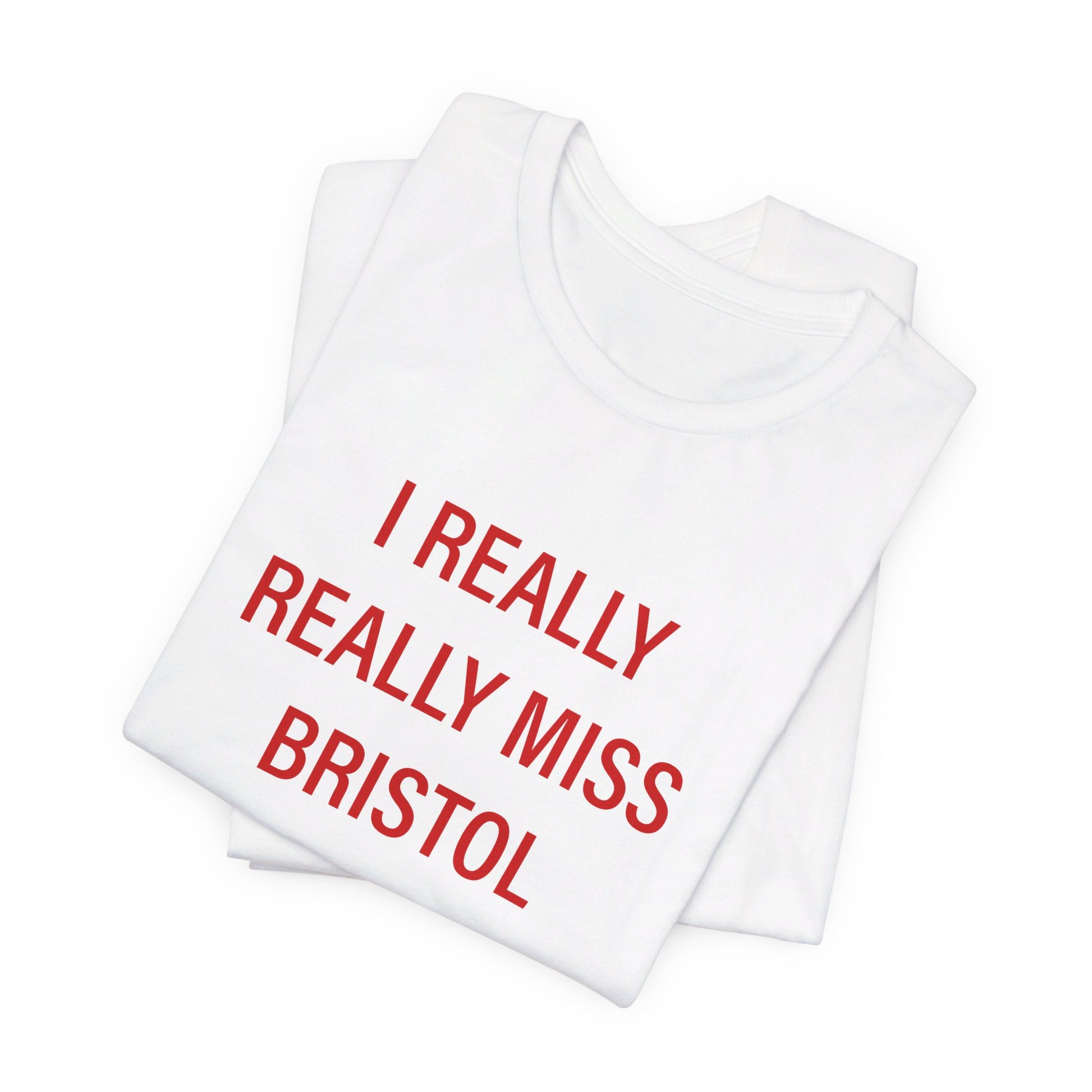 I Really Really Miss Bristol // Bristol Connecticut t shirt // finding connecticut 