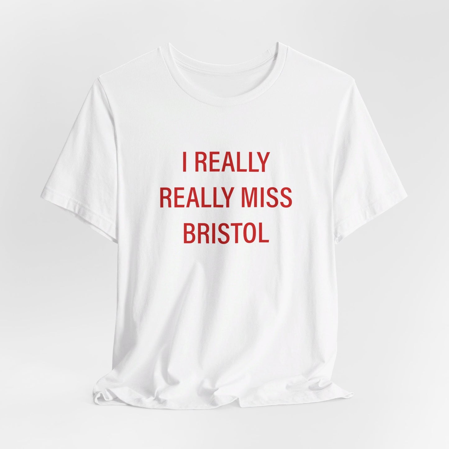 I Really Really Miss Bristol // Bristol Connecticut t shirt // finding connecticut 
