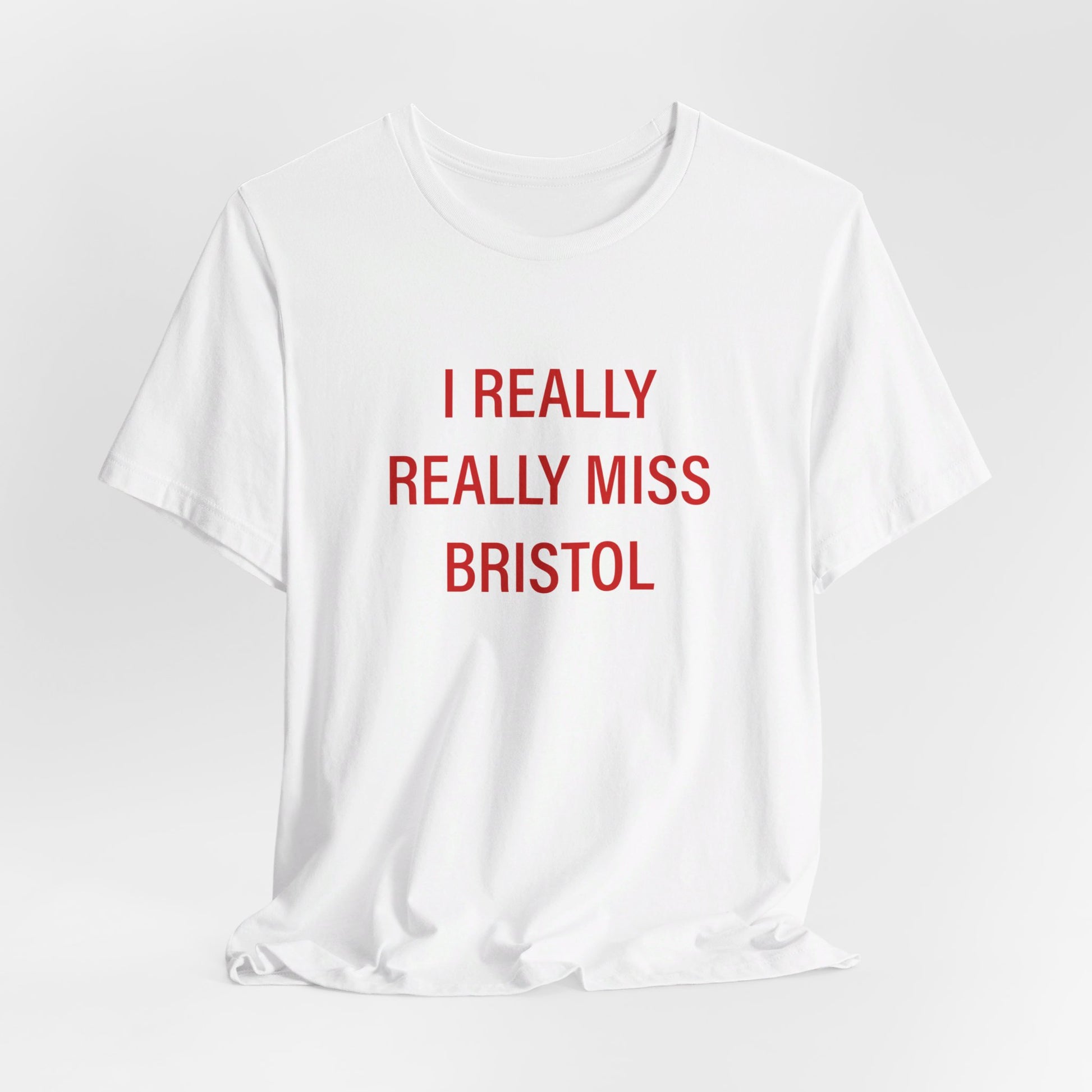 I Really Really Miss Bristol // Bristol Connecticut t shirt // finding connecticut 