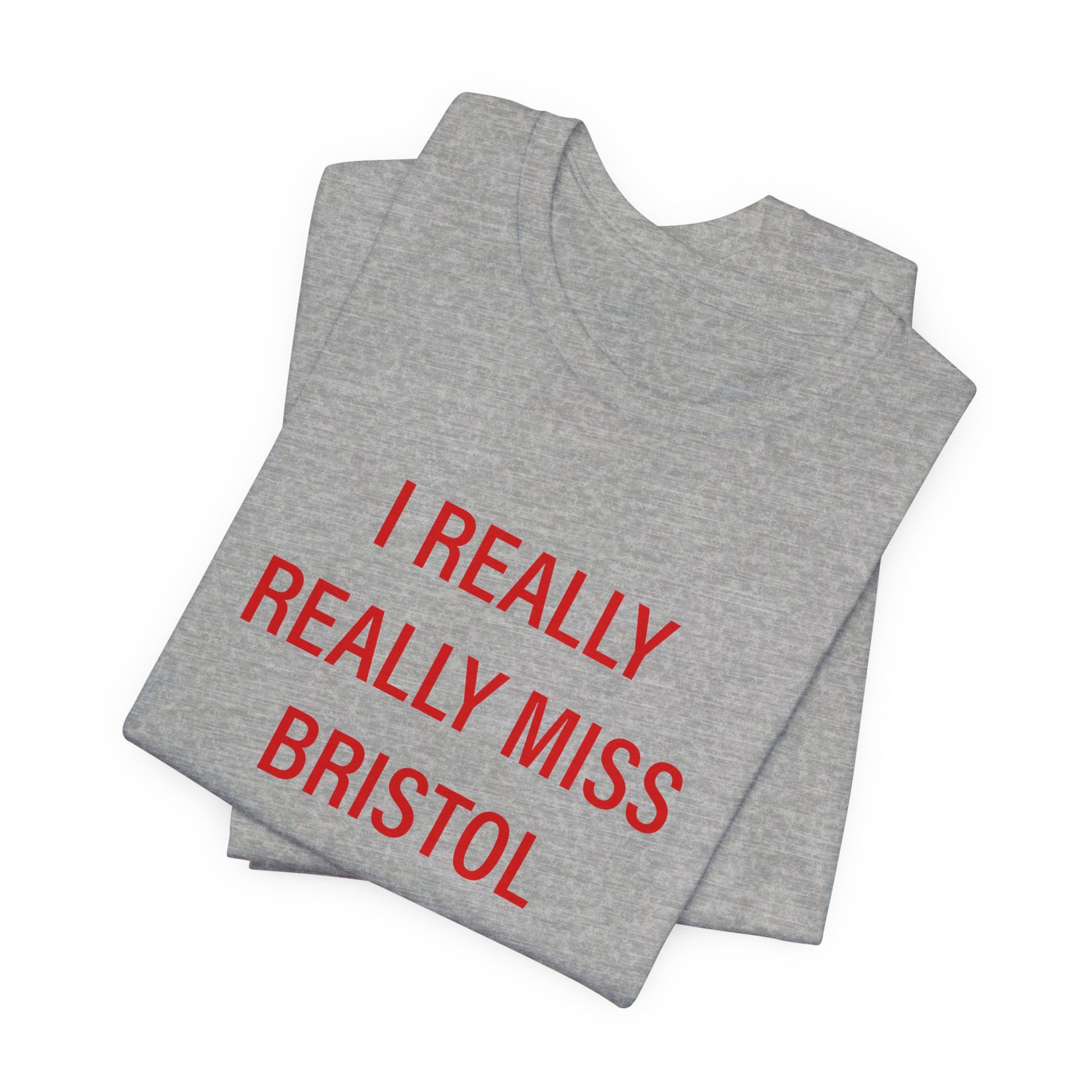 I Really Really Miss Bristol // Bristol Connecticut t shirt // finding connecticut 