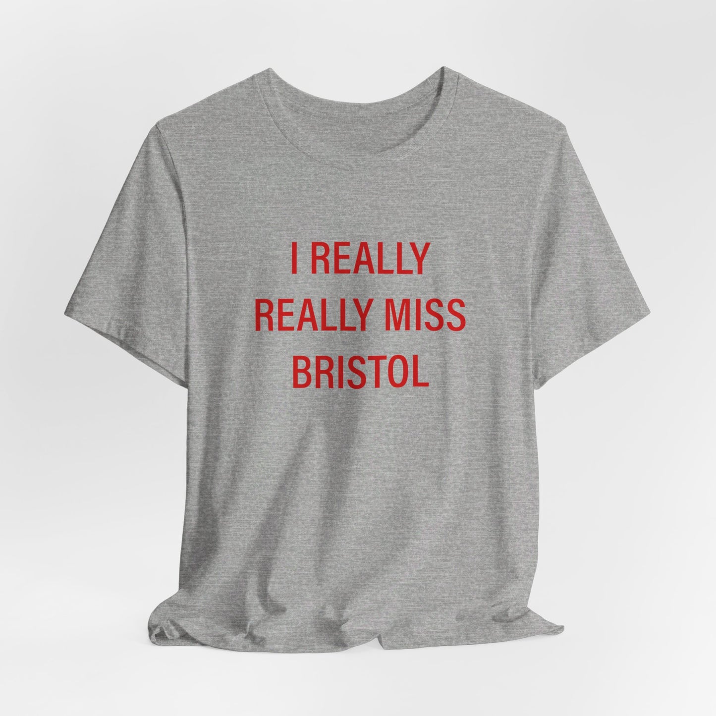I Really Really Miss Bristol // Bristol Connecticut t shirt // finding connecticut 