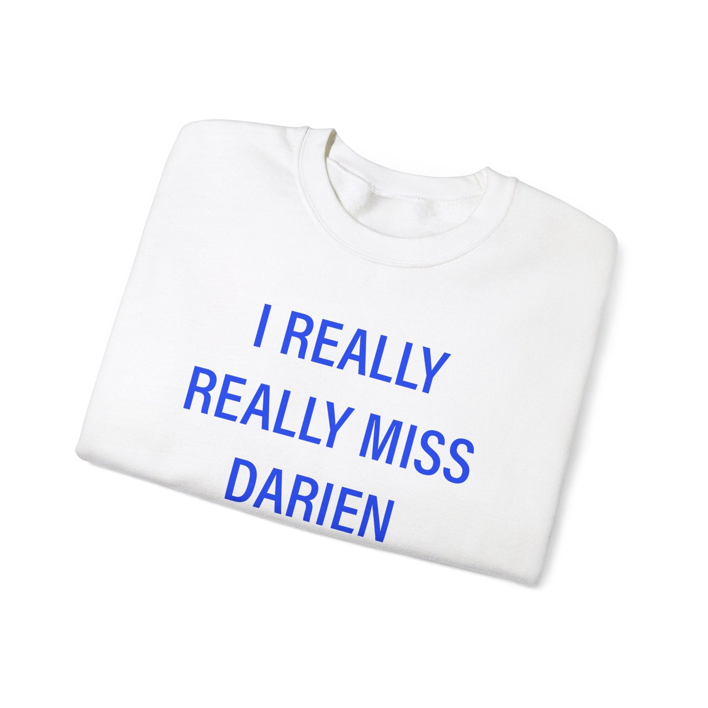 I Really Really Miss Darien / Darien Connecticut sweatshirts // finding connecticut 