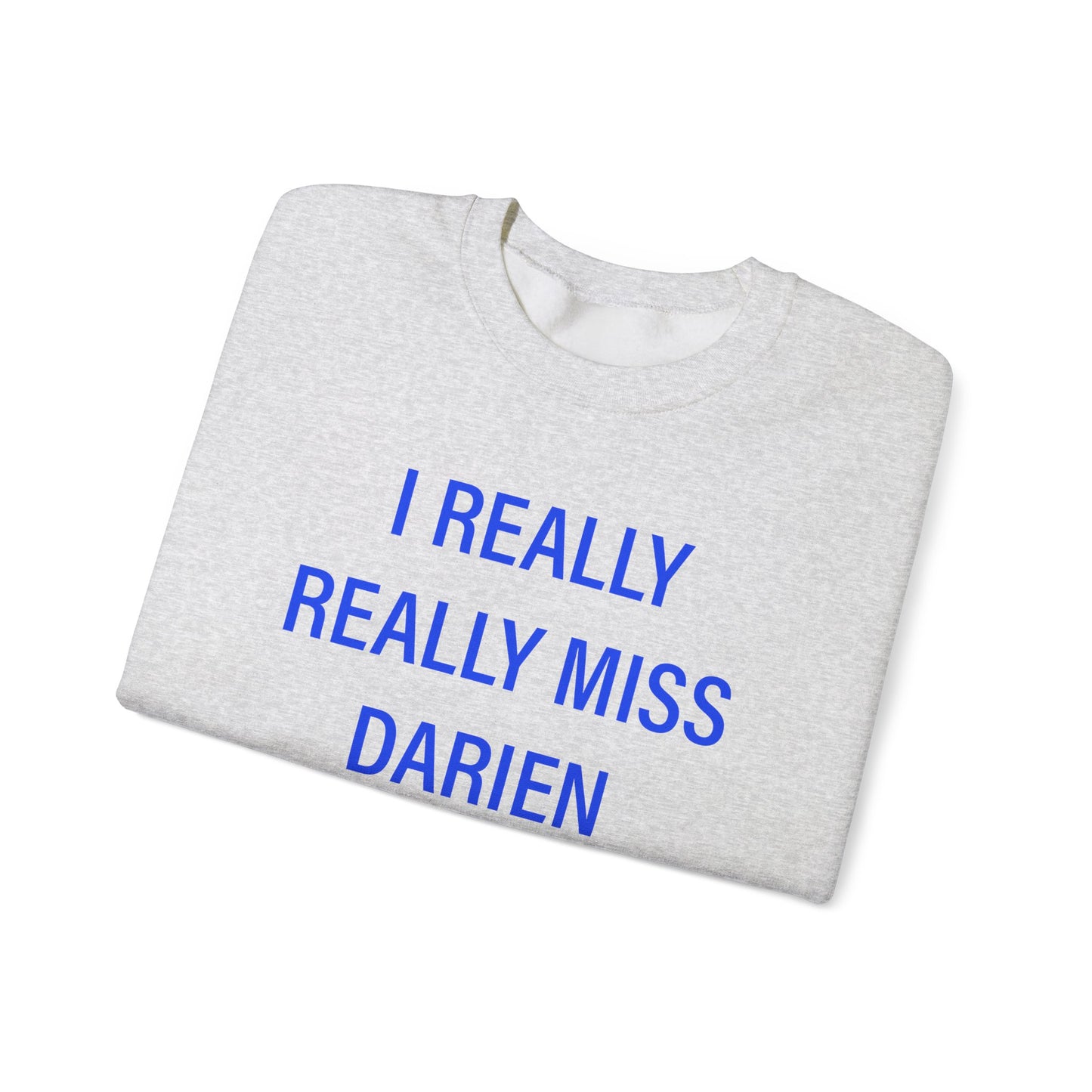 I Really Really Miss Darien / Darien Connecticut sweatshirts // finding connecticut 