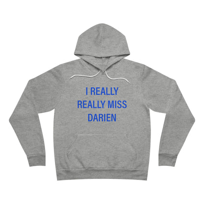 I Really Really Miss Darien // Darien Connecticut unisex hoodie sweatshirt // finding connecticut 