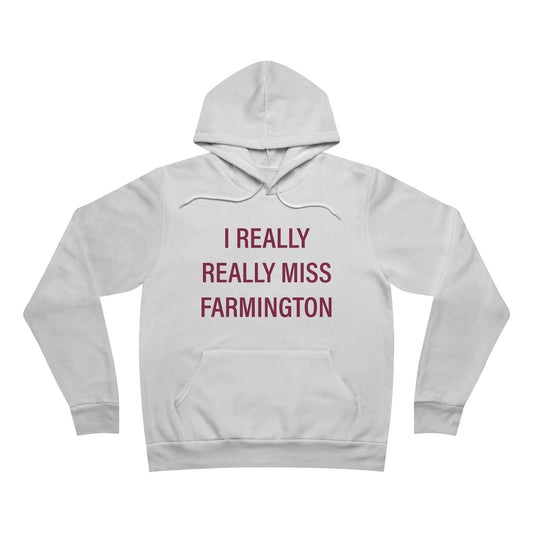 I Really Really Miss Farmington // Farmington Connecticut hoodie sweatshirts /// finding Connecticut 